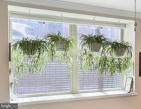 SPRING ARTS - Residential