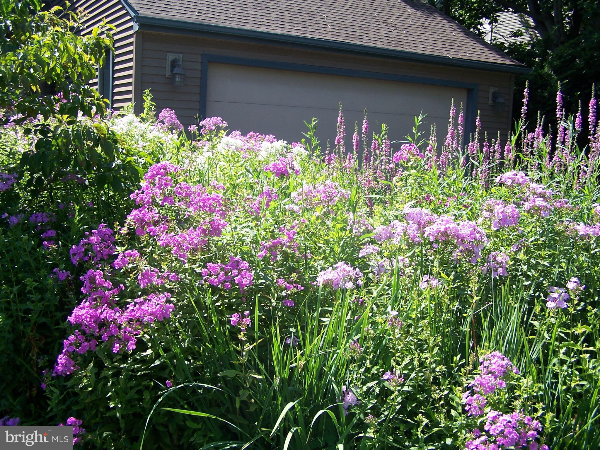 YORKTOWNE - Residential