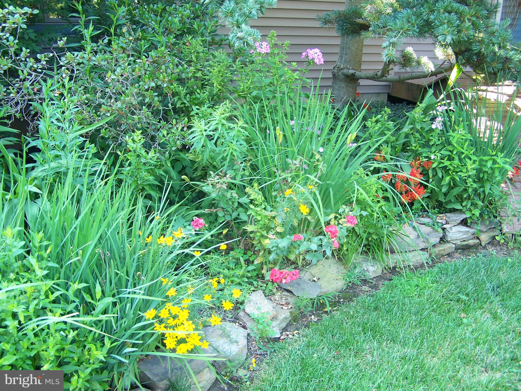 YORKTOWNE - Residential