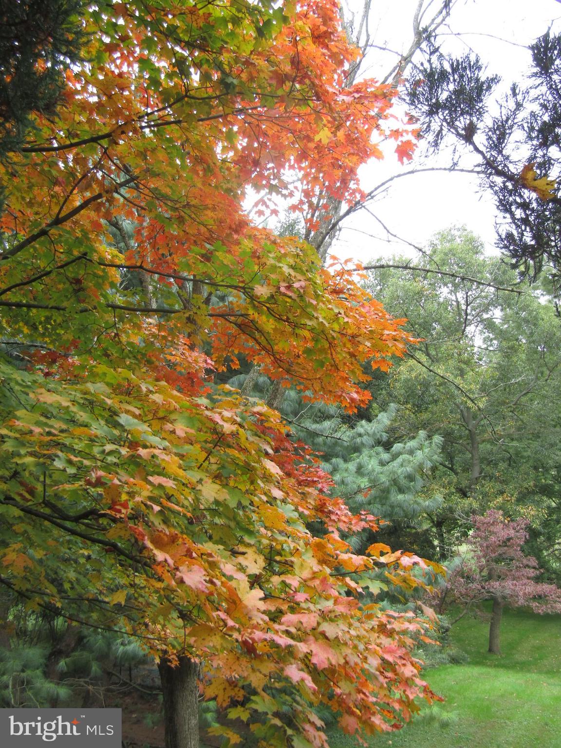 YORKTOWNE - Residential