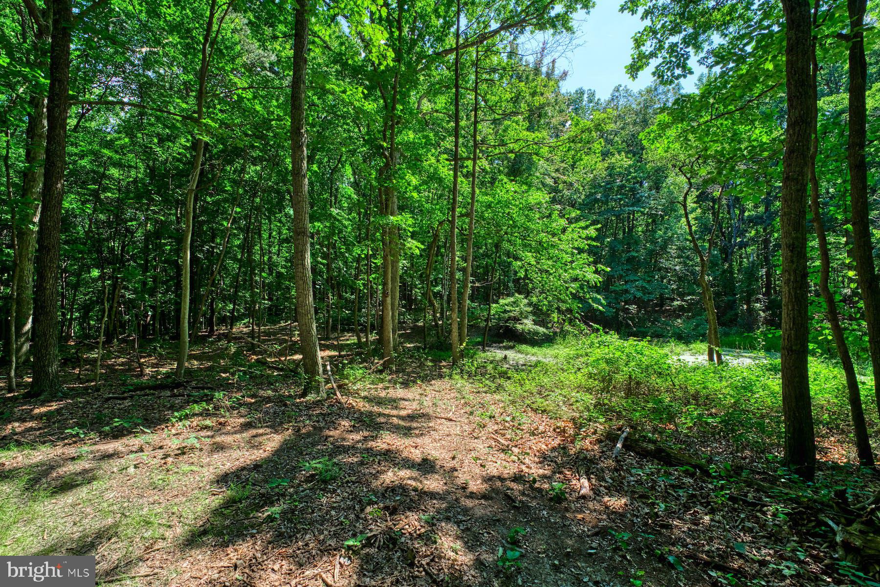 CLARKE COUNTY - Residential