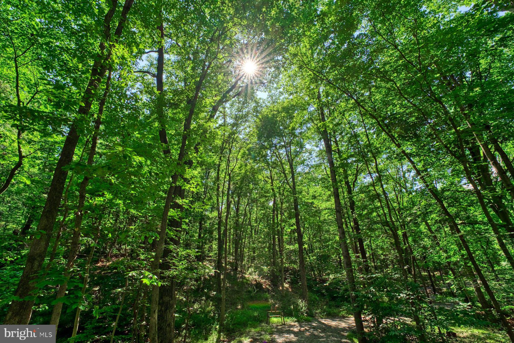 CLARKE COUNTY - Residential