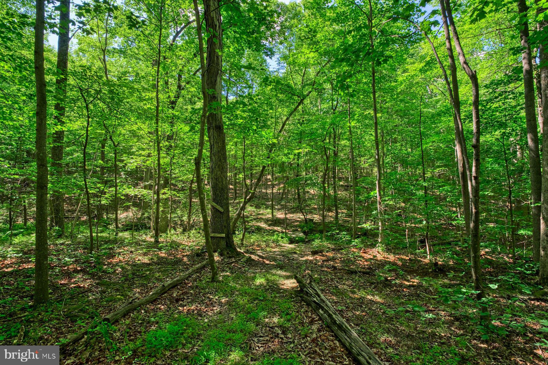 CLARKE COUNTY - Residential