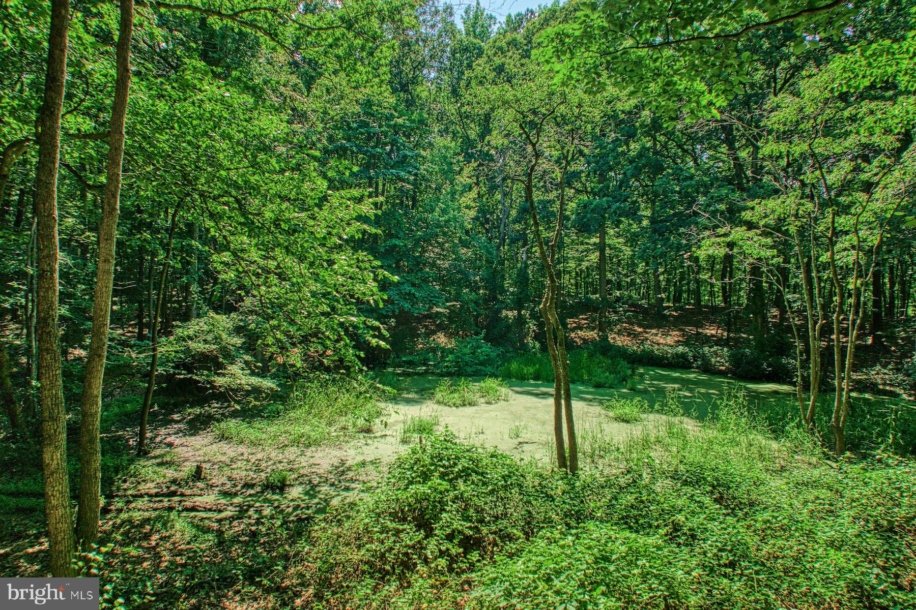 CLARKE COUNTY - Residential