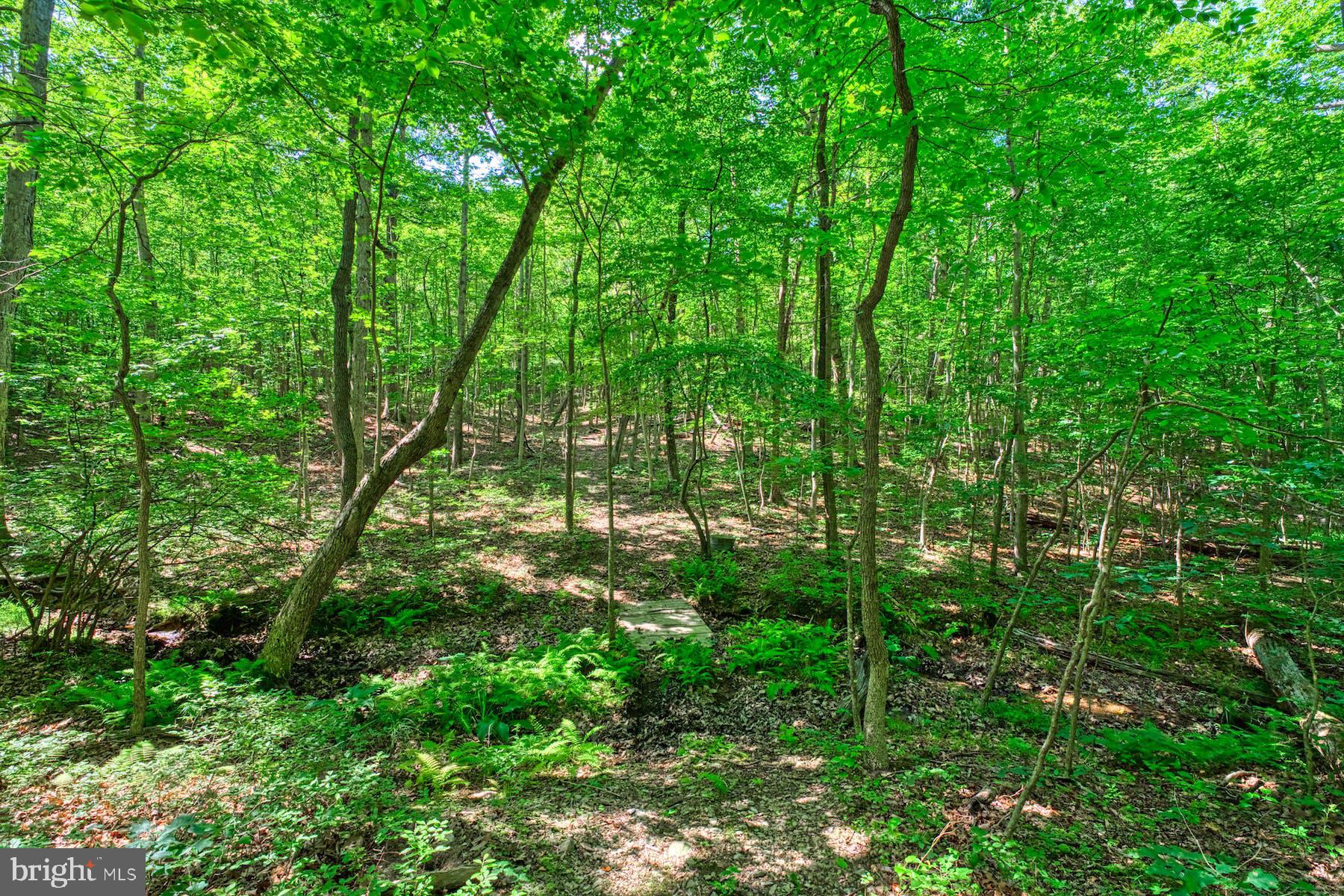 CLARKE COUNTY - Residential