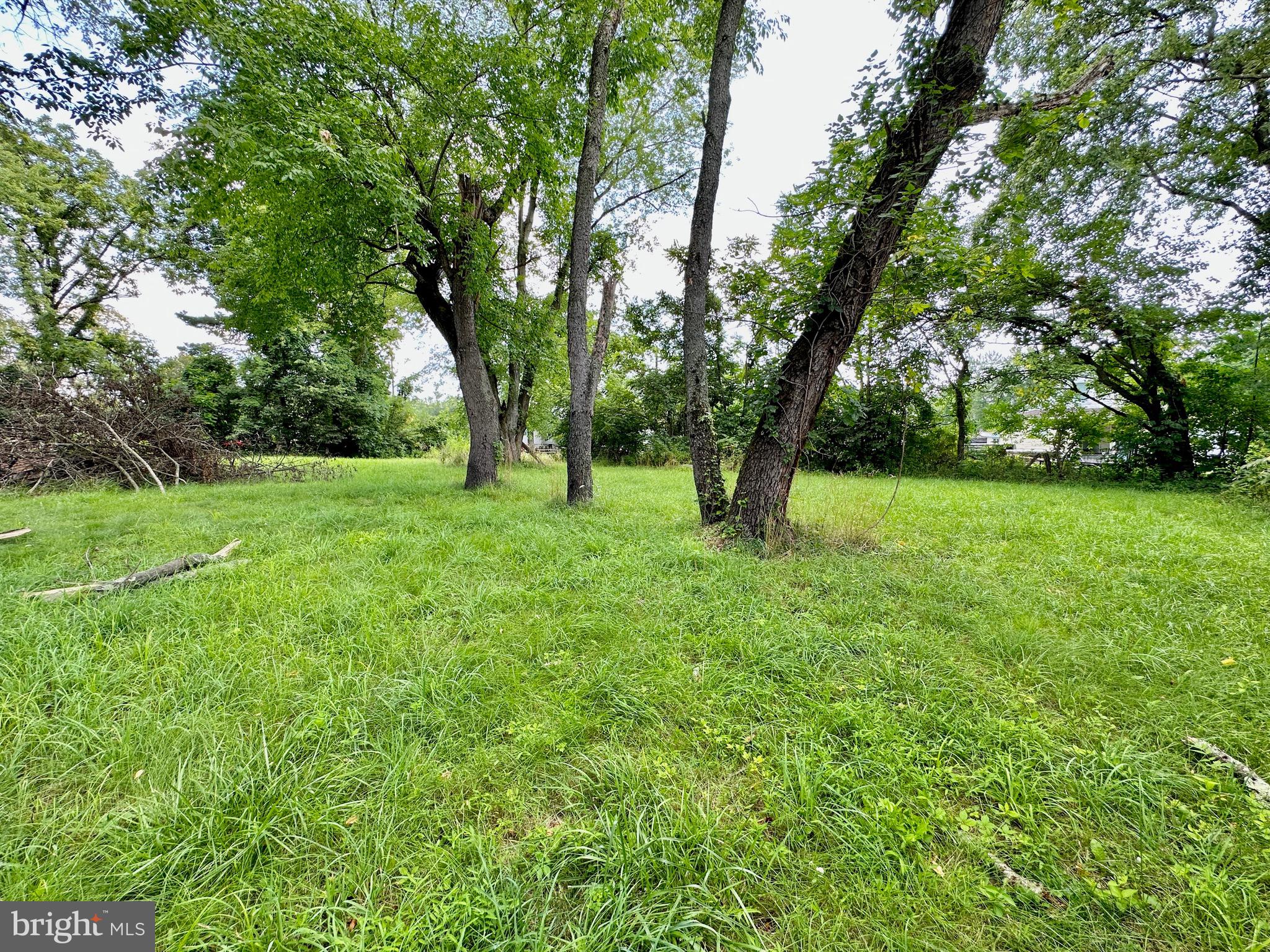 SOUTH END - Residential