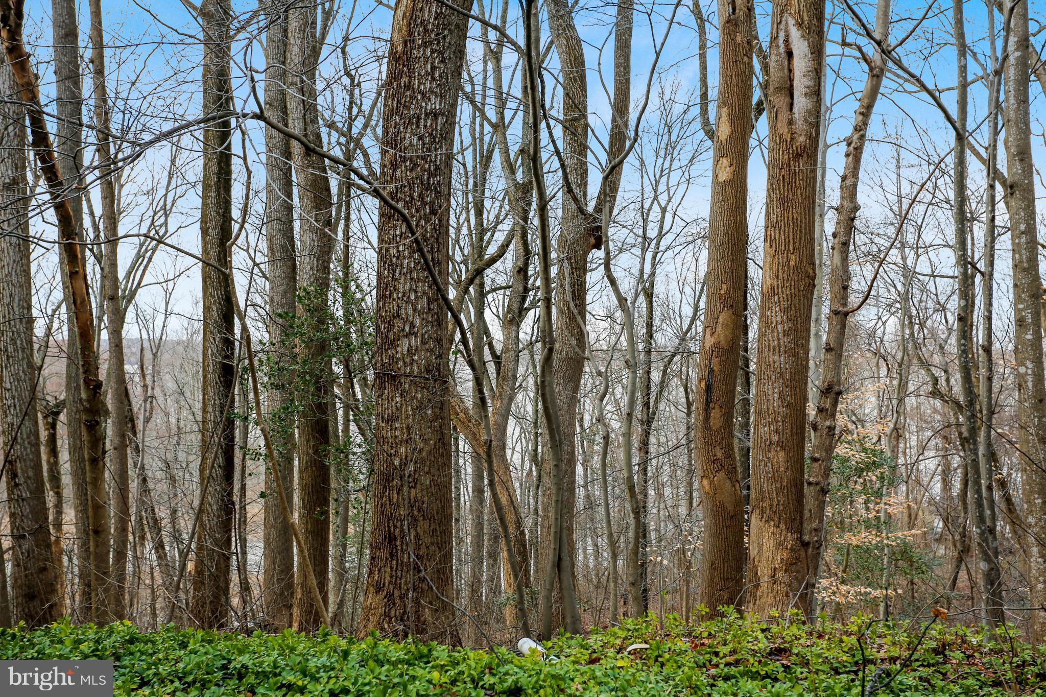 POPLAR HILL SUB - Residential