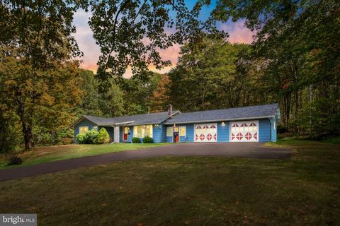 4720 CHESTNUT RIDGE ROAD GRANTSVILLE MD 21536