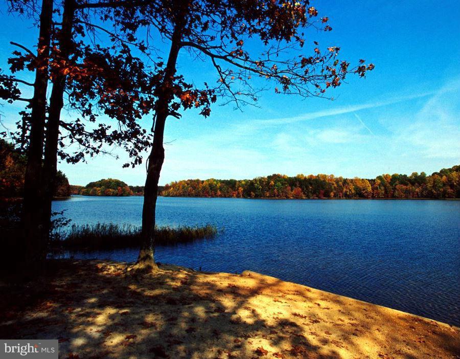 BURKE CENTRE - Residential Lease