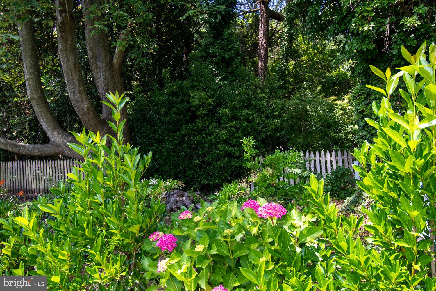 OXFORD - Residential