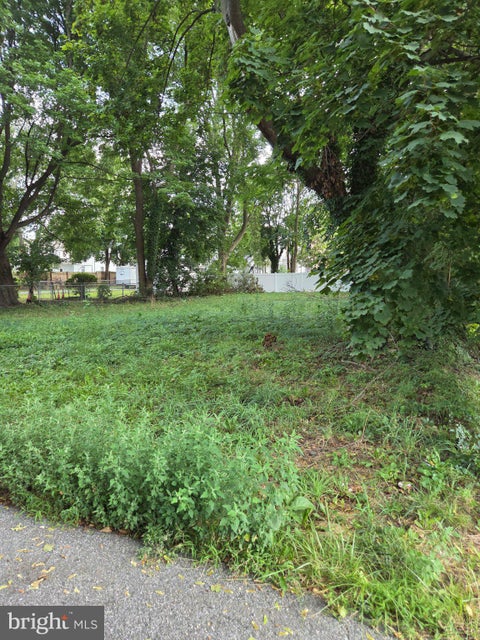 Vacant Land For Sale - 133 Fisher Street<br/> SMYRNA, DE 19977