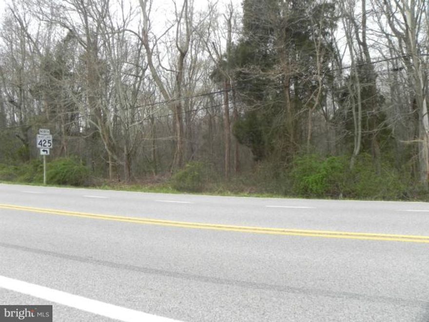 39 acres great for hunting. Stream at front of property. Treed acreage. Joins nature conservancy. Stream prevents road access to property. No perc test.