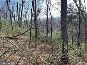 Lot 10 SHANKTOWN ROAD