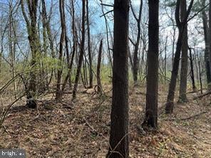 Lot 10 SHANKTOWN ROAD