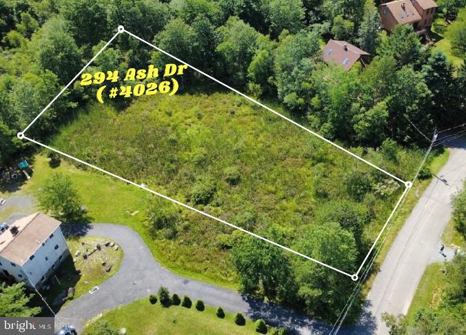 294 ASH DR (#4026)