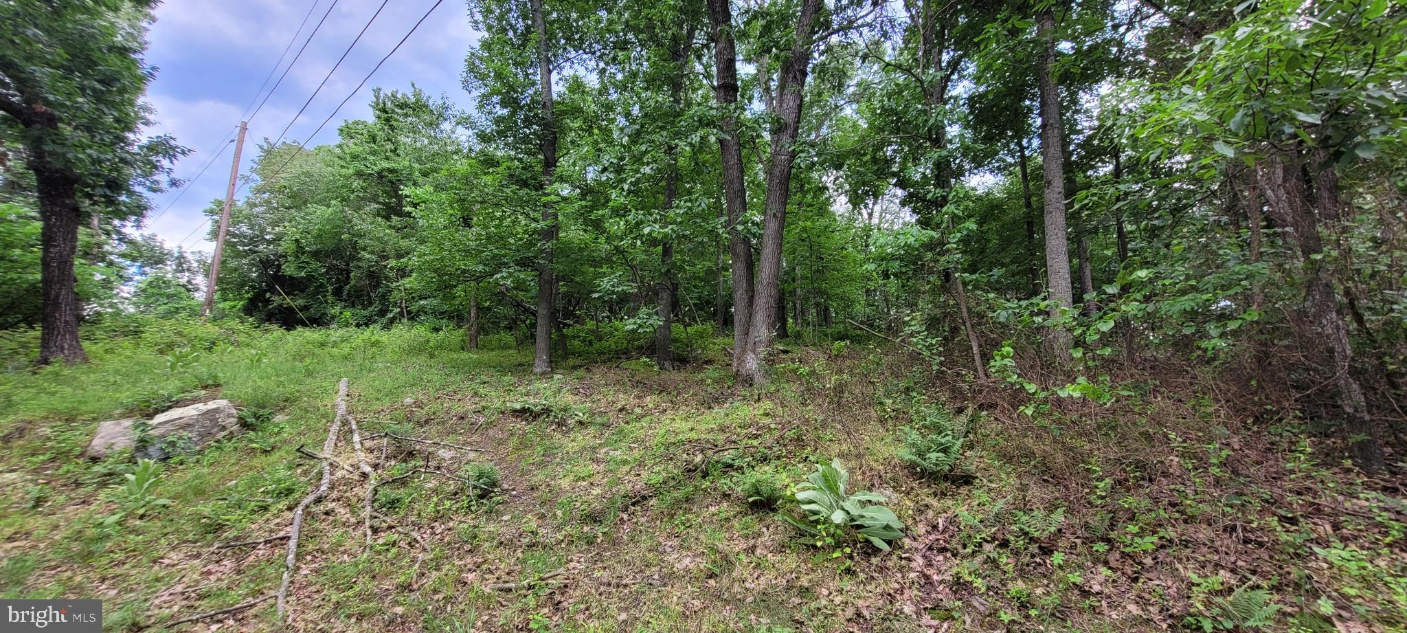 SHEN FARMS MT LAKE - Land