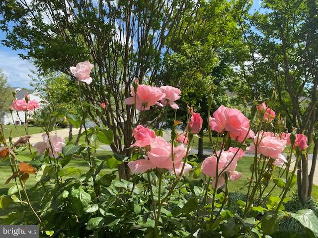 EASTON CLUB EAST - Residential