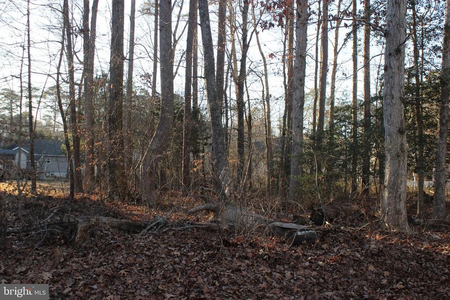 5/2375 Oversized (12,539 sq ft), level wooded lot with water availability & 3BR Cert Letter on file. Just off Captains Corridor and close to the entrance. Buy now and build later, take advantage of this great buy! No time frame to build, and no builder tie-in. Come and enjoy all the amenities and the lifestyle on the Eastern Shore of VA. Captains Cove is the Eastern Shore of Virginia's fastest growing Golf & Waterfront community; close to Chincoteague Island, Wallops Island and Ocean City MD. Amenities offered at Captains Cove: 9 Hole Pristine Golf Course, indoor/outdoor pools (2), fitness center, basketball & pickle ball courts, boat ramp, docks, playground, biking & walking trails, dog park, playground, picnic area, security and so much more. Call today for more information