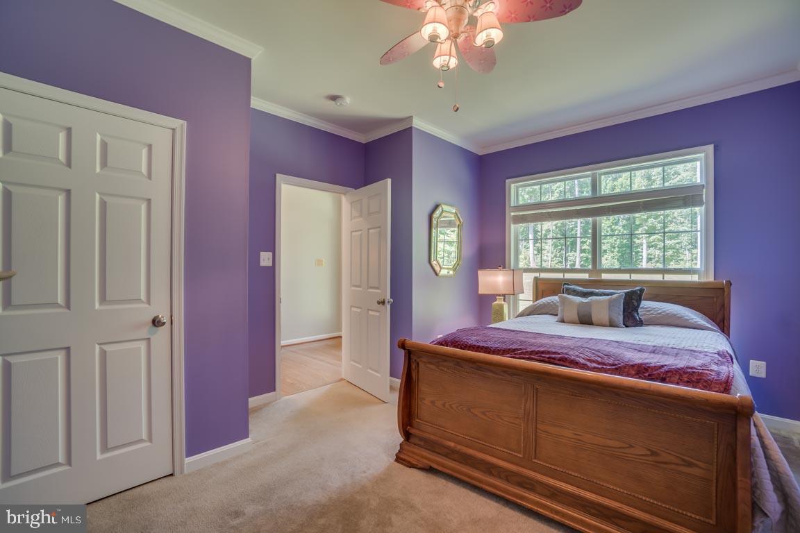 GROUSE POINTE - Residential