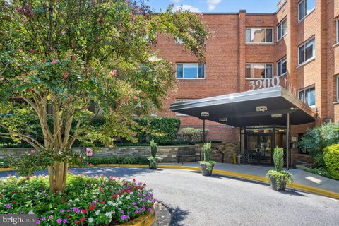 3900 TUNLAW ROAD NW 103 WASHINGTON DC 20007