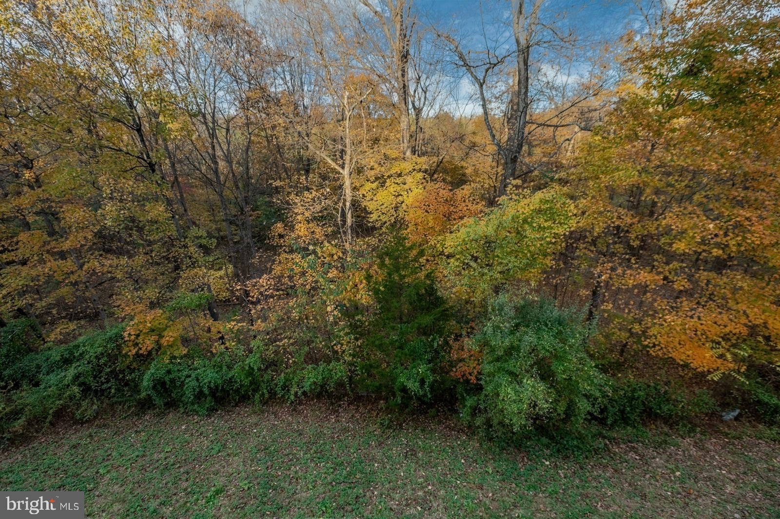 CHESTNUT GROVE - Residential