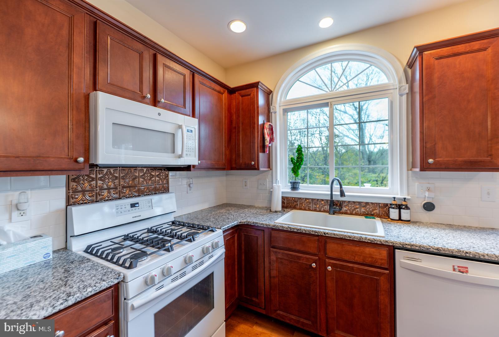 CHESTNUT GROVE - Residential