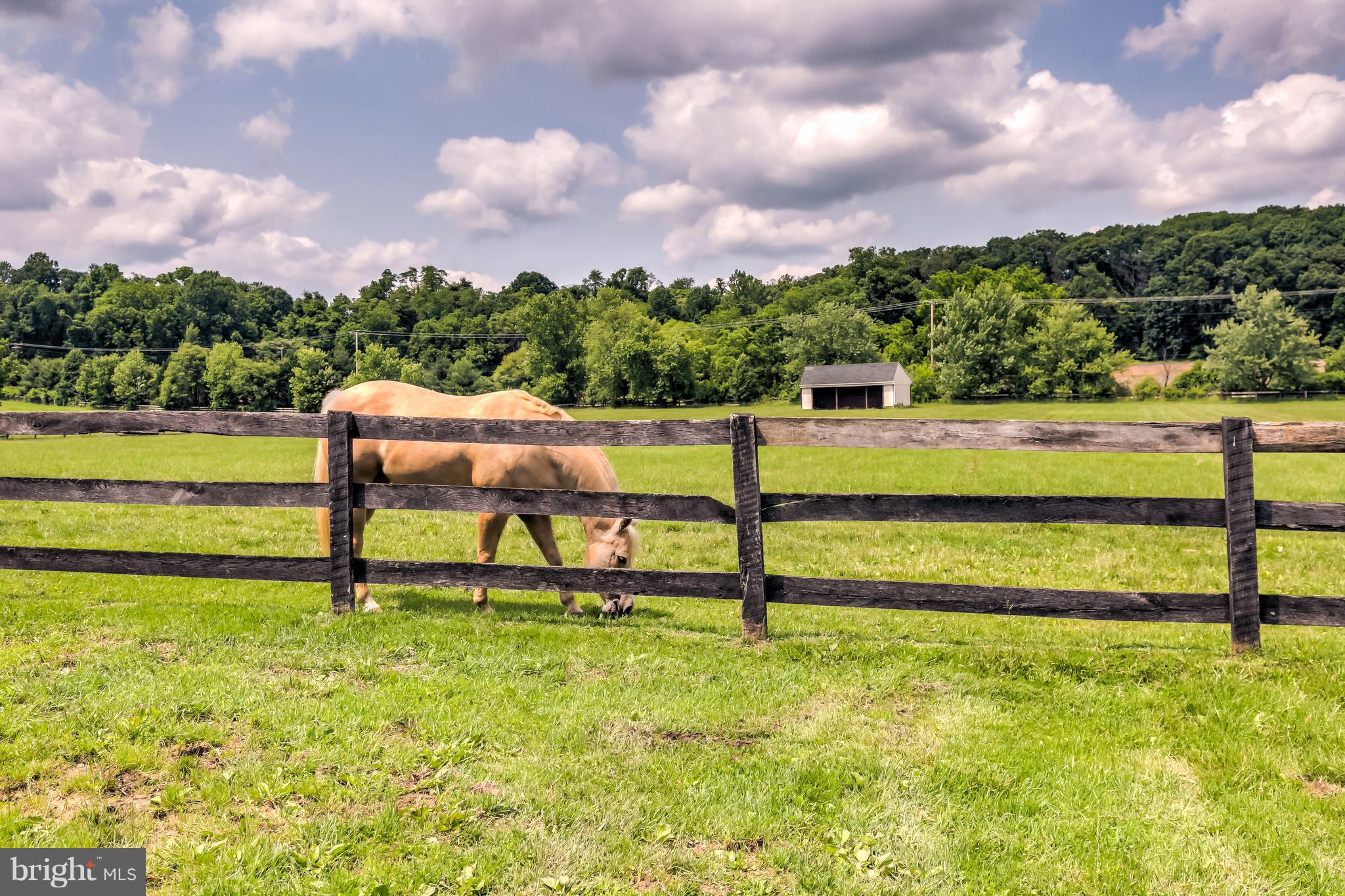 SPARKS - Residential