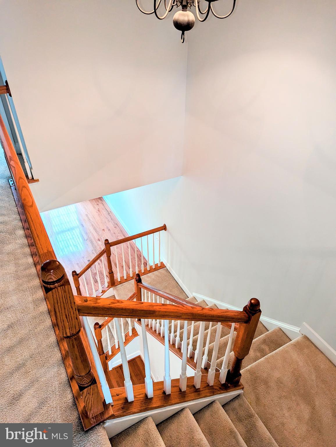 POTOMAC CLUB - Residential Lease