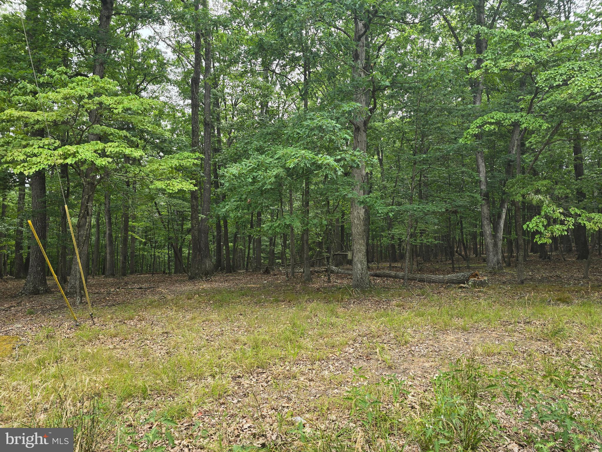 SIDELING MOUNTAIN TRAIL - LOTS 64 & 65