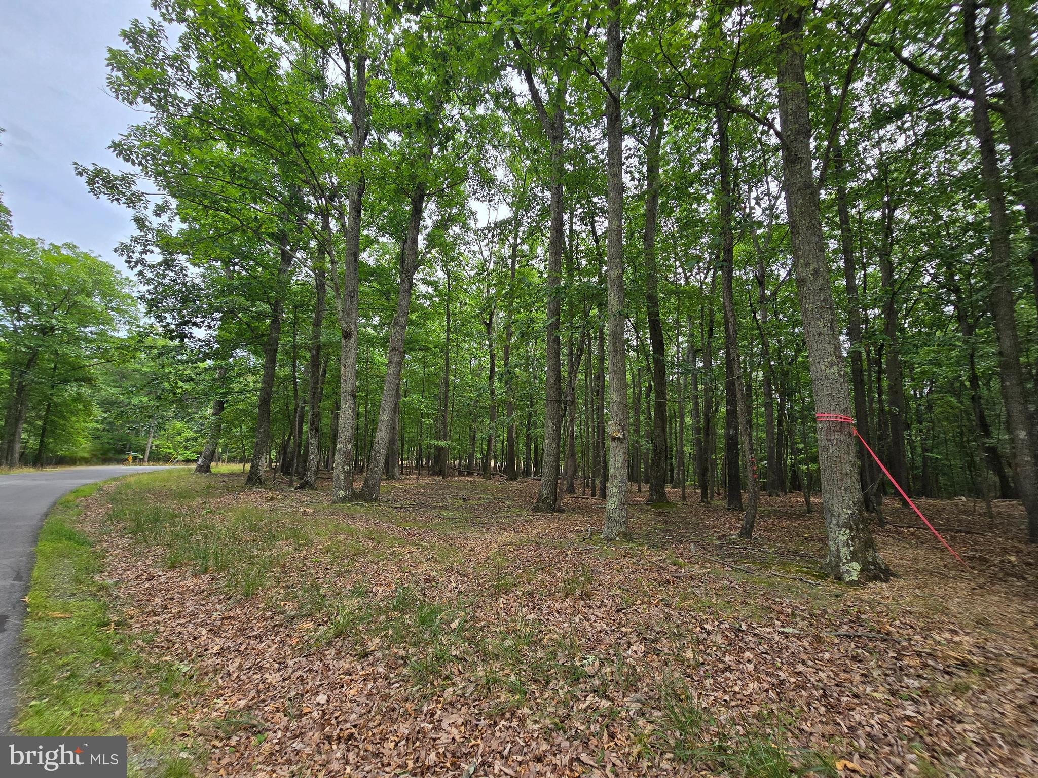 SIDELING MOUNTAIN TRAIL - LOTS 64 & 65