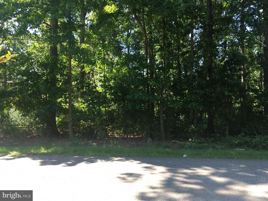 Wooded building lot on Judefind Ave in Rock Hall town limits. No flood plain, no critical area, no wetlands. Water & sewer hook ups will be required. Lot is 75 ft wide by 165 ft deep. Nice walkable in-town location on a quiet, private street. Just minutes to the Main Street shopping district and the Mainstay.