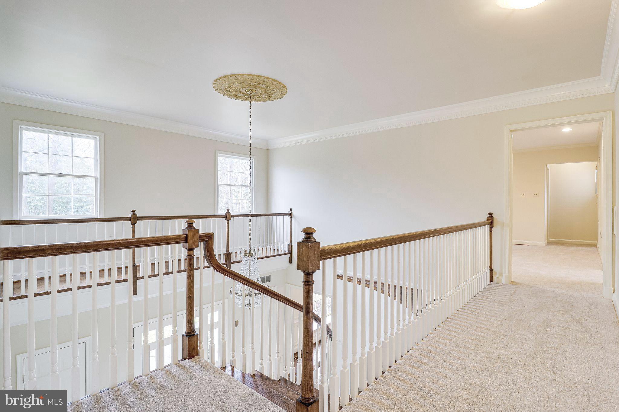 BELLEVUE FOREST - Residential