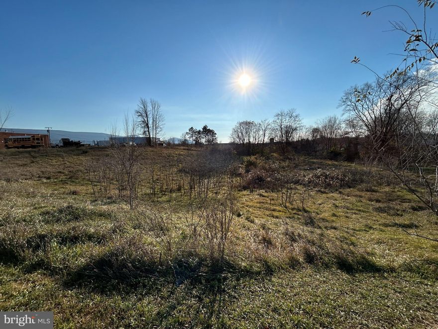 This 2.7 acre property can support a wide array of government, business and commercial uses.  See those listed uses on the Municode website for Woodstock, VA under B2 Highway Commercial zoning.  This parcel has approx. 220 linear feet of road frontage on Kingree St, and is surrounded on two sides by Shenandoah Co. Government properties; the Juvenile and General District Court complex, the Shenandoah County Government Center complex and the Shen. Co. School Bus garage.  This parcel would be an excellent location for any county government office, court affiliated business or supporting business.  This site could also be used for an educational or public services training center.