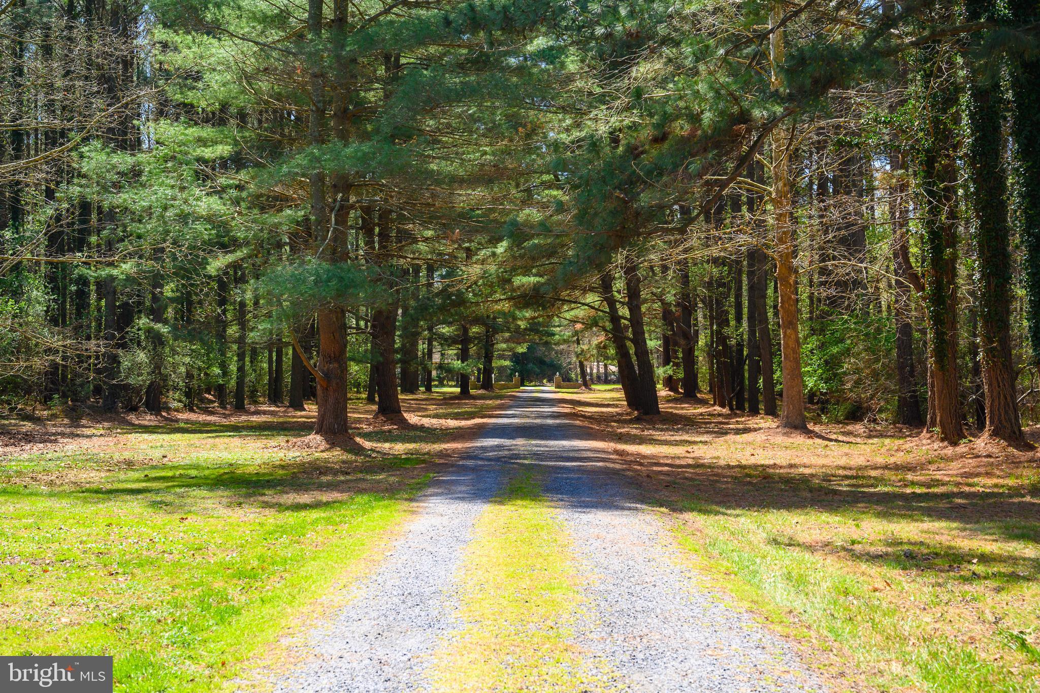 ROYAL OAK - Residential