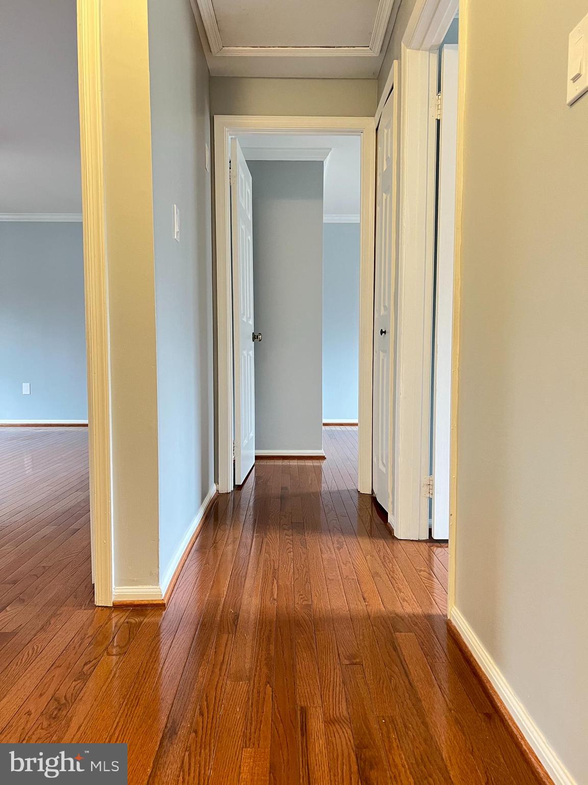 CARDINAL FOREST - Residential