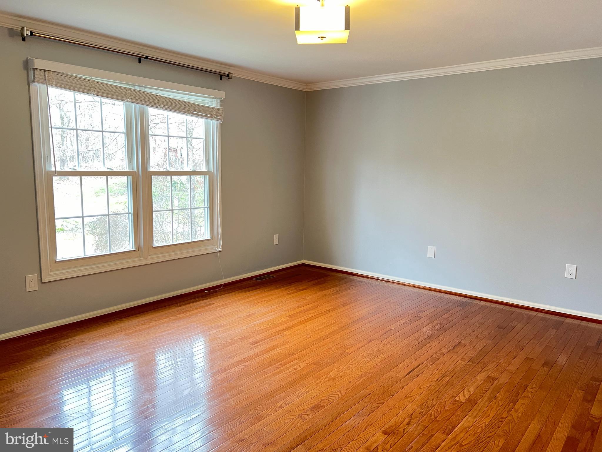 CARDINAL FOREST - Residential