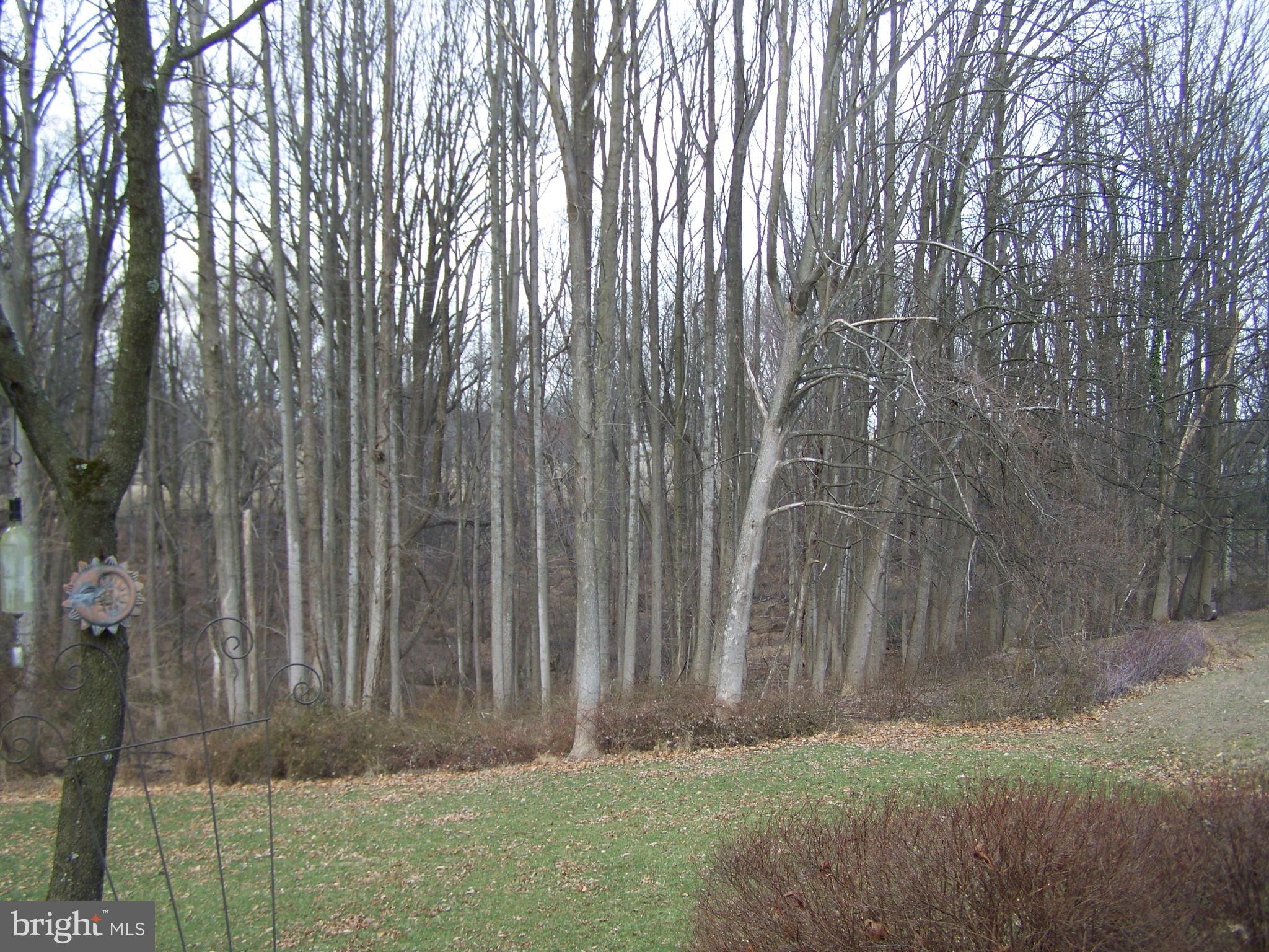 HAZELWOOD - Residential