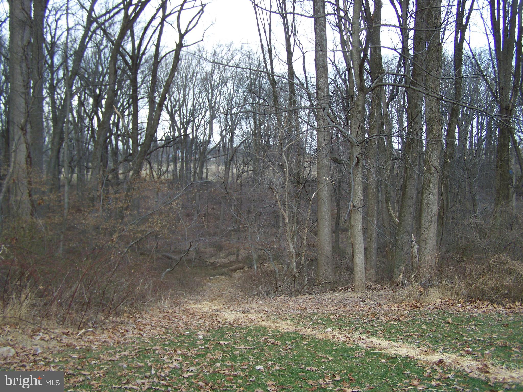 HAZELWOOD - Residential