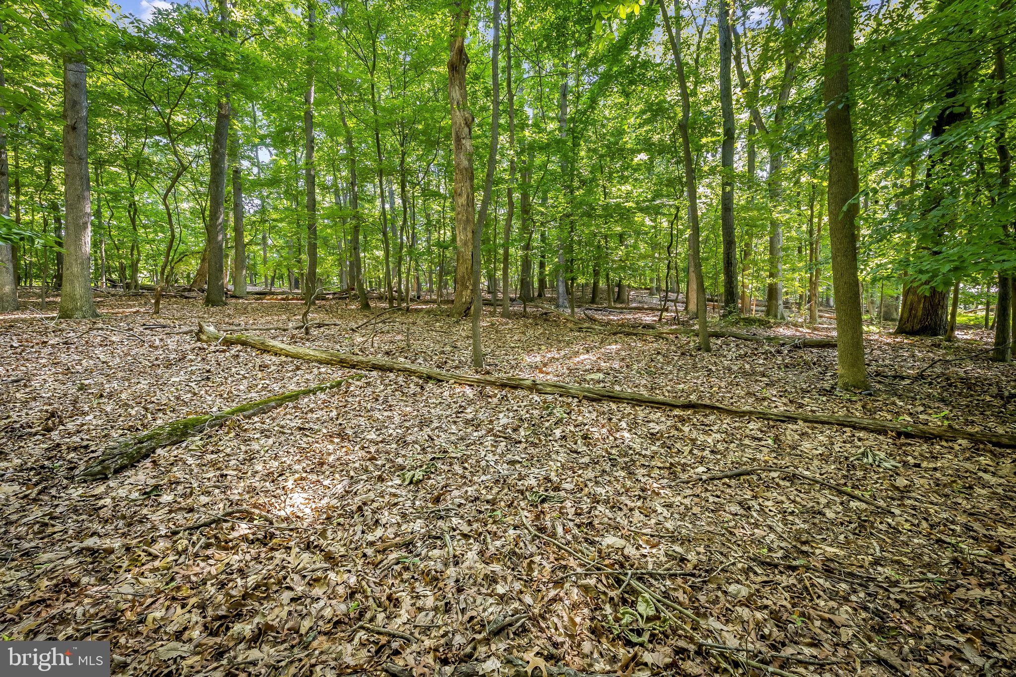 GREEN SPRING VALLEY - Residential