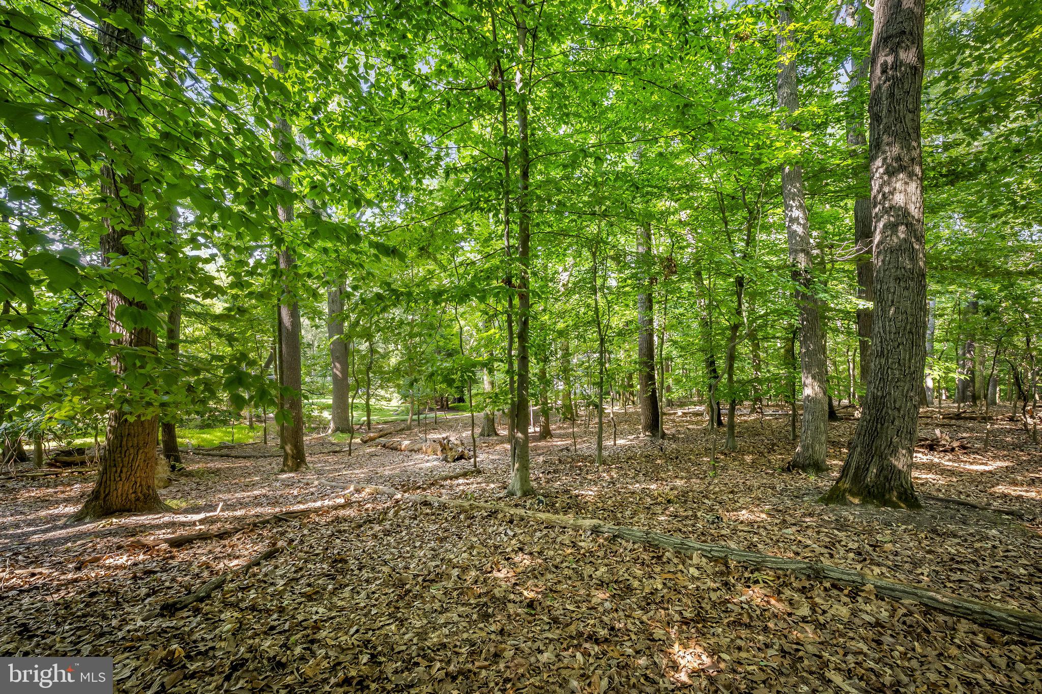 GREEN SPRING VALLEY - Residential