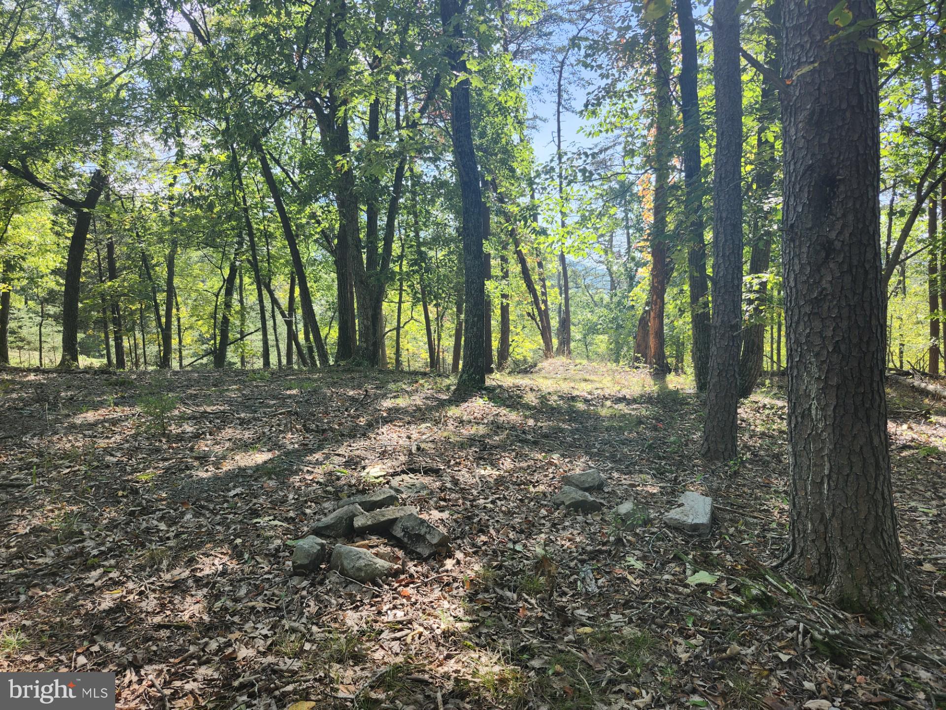 POTOMAC VALLEY OVERLOOK - Land