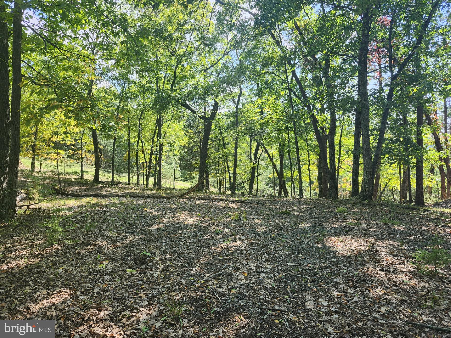 POTOMAC VALLEY OVERLOOK - Land
