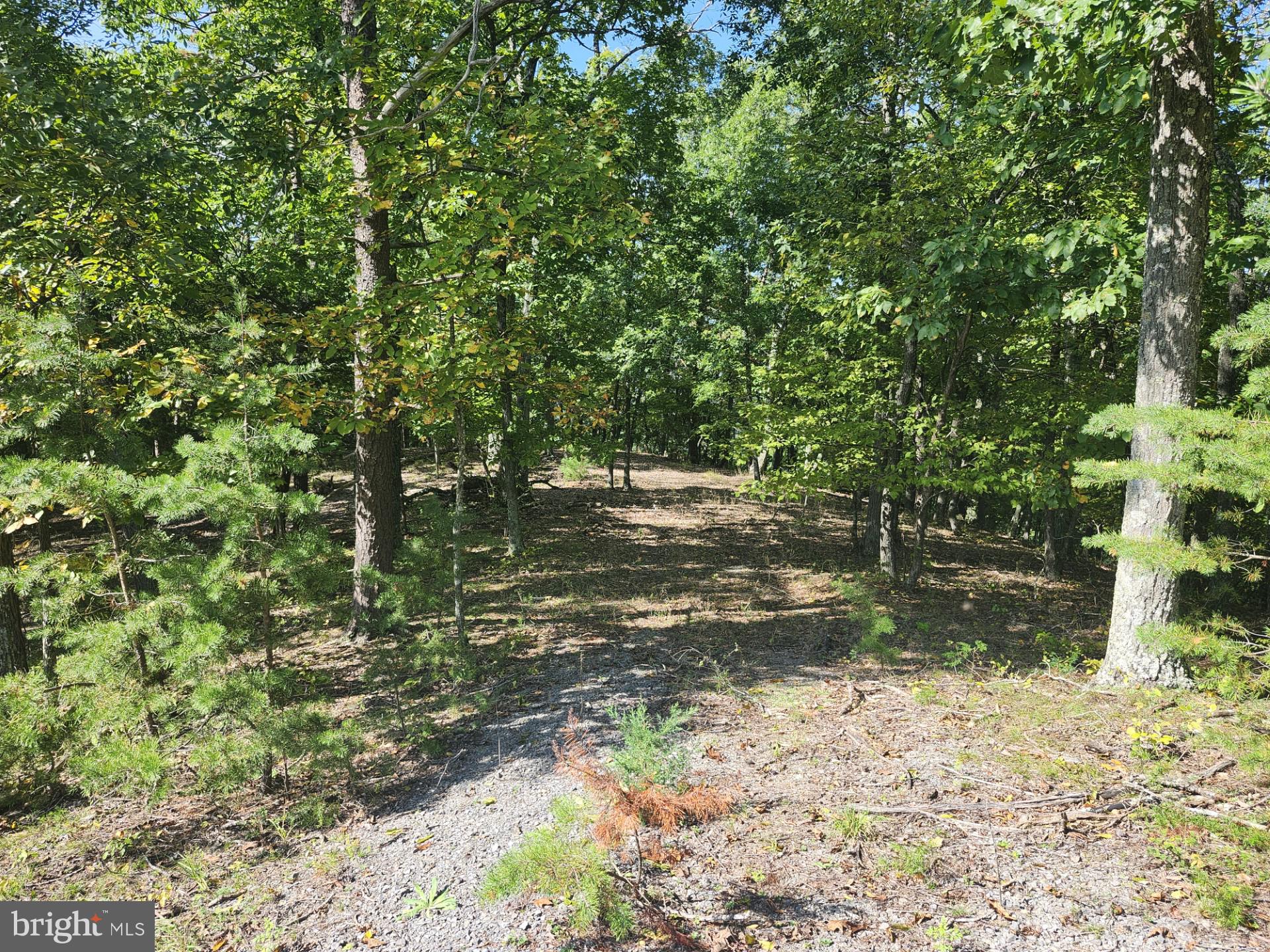 POTOMAC VALLEY OVERLOOK - Land