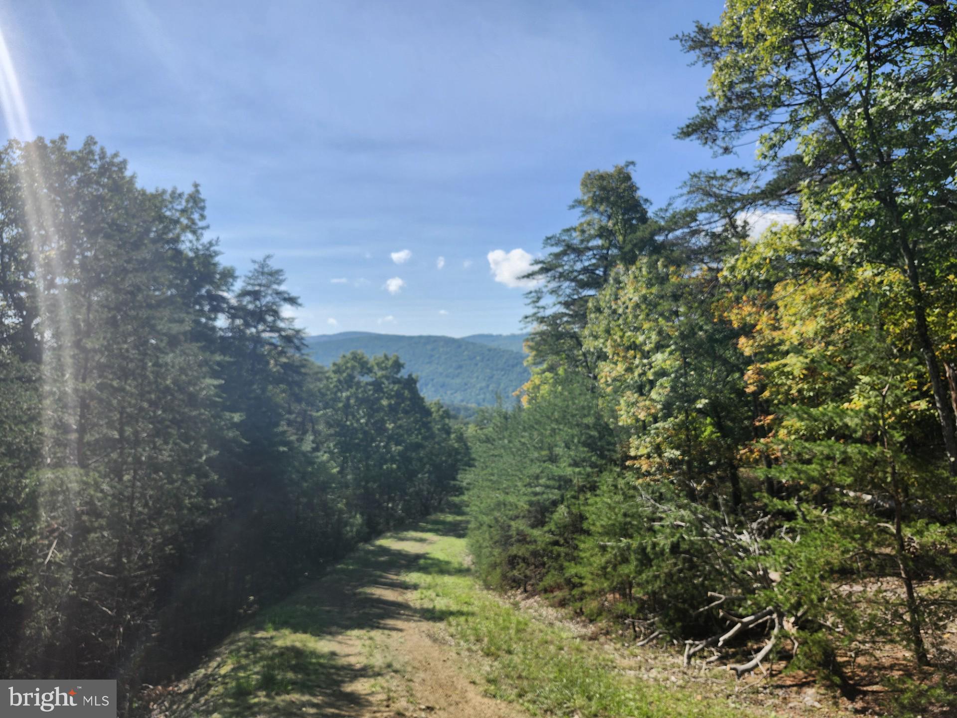 POTOMAC VALLEY OVERLOOK - Land
