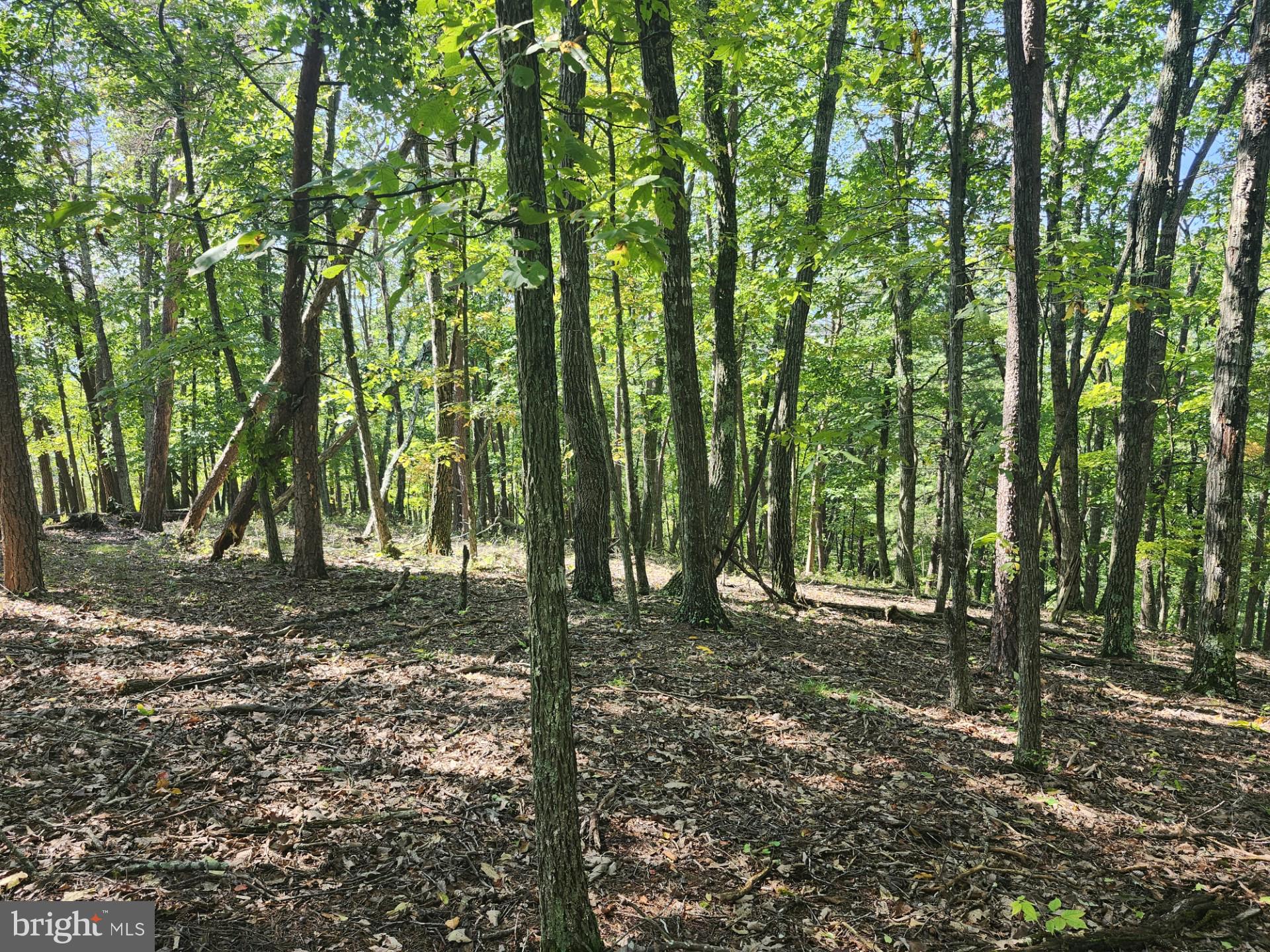 POTOMAC VALLEY OVERLOOK - Land