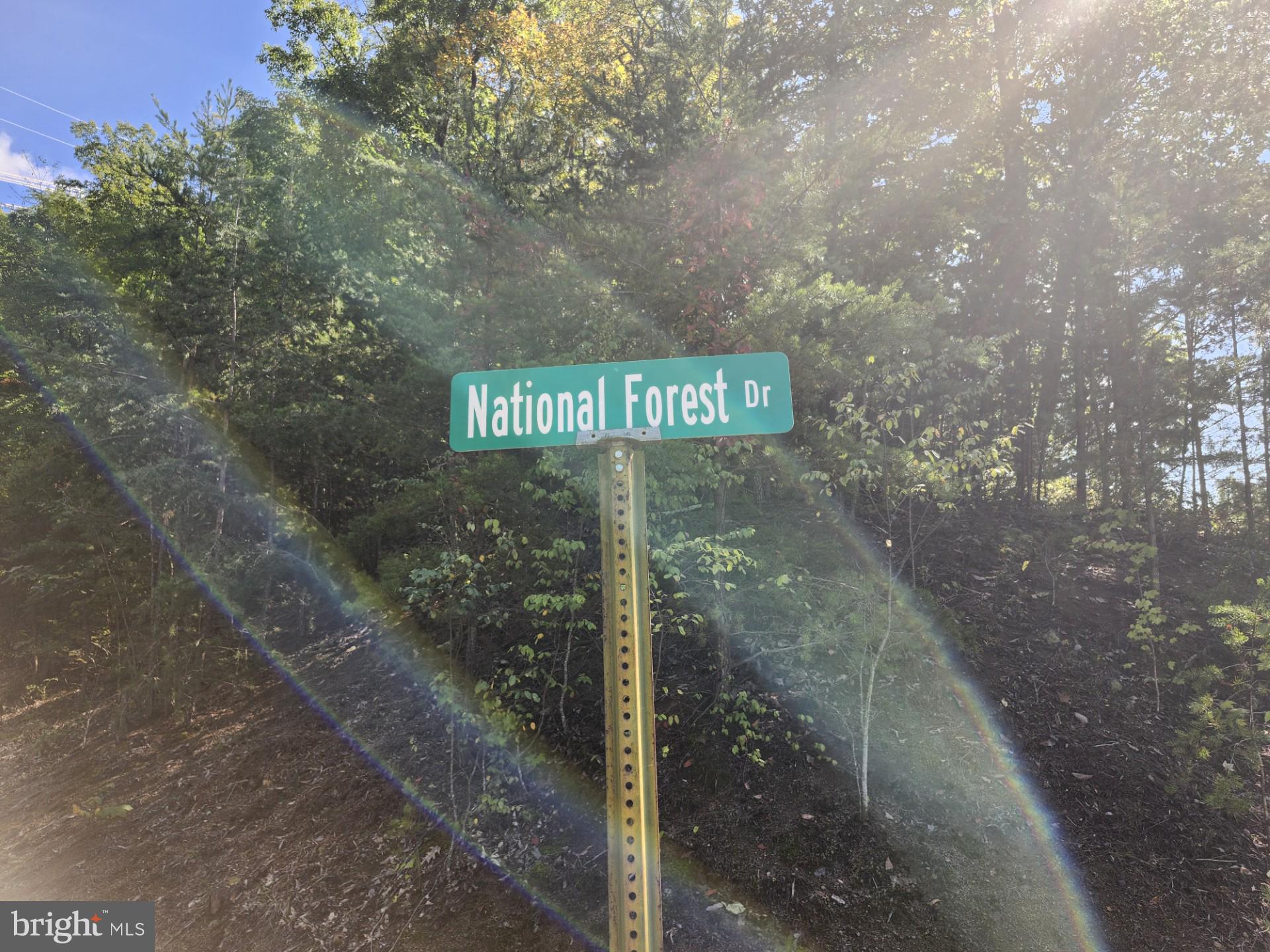 POTOMAC VALLEY OVERLOOK - Land