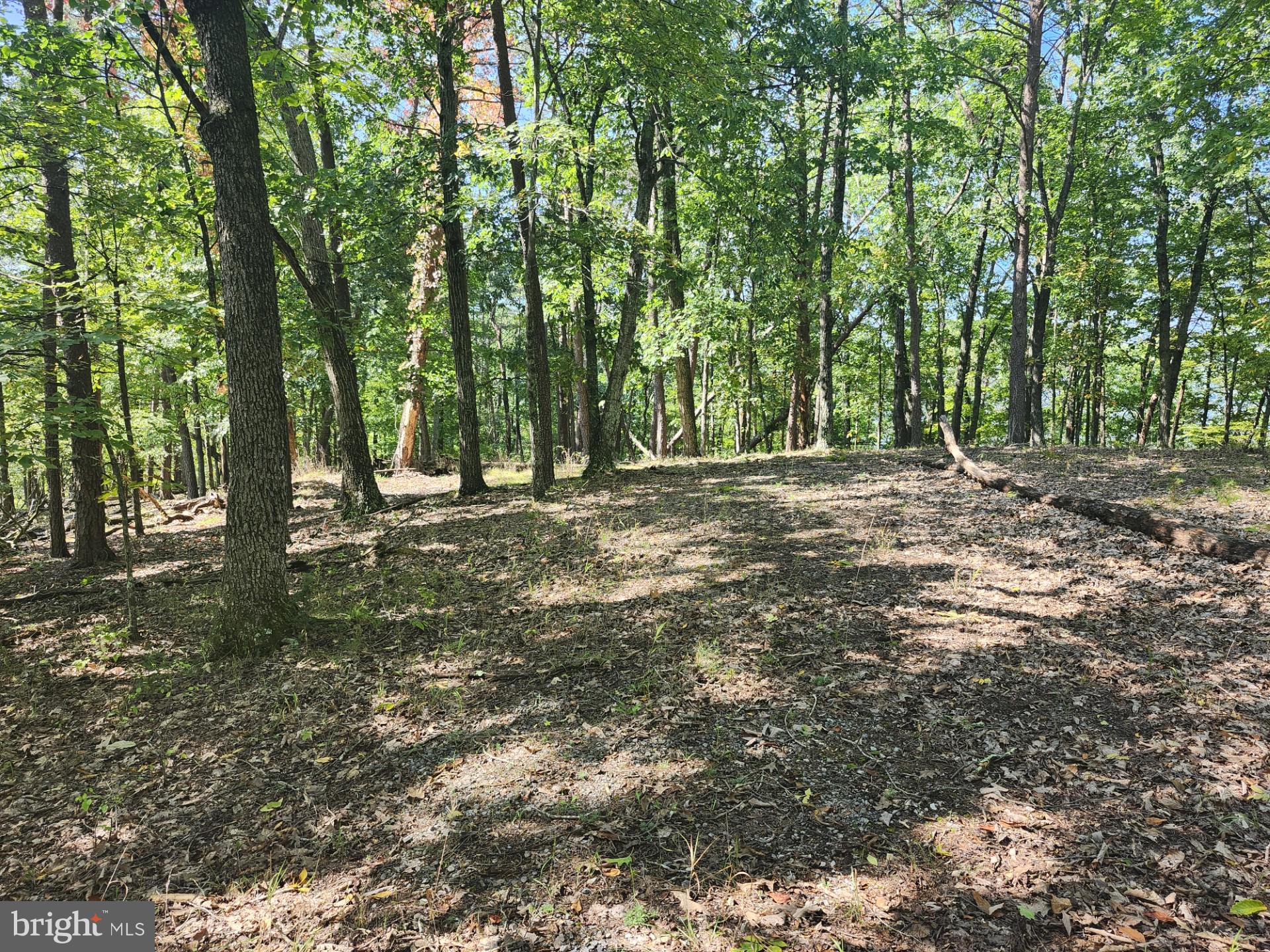 POTOMAC VALLEY OVERLOOK - Land