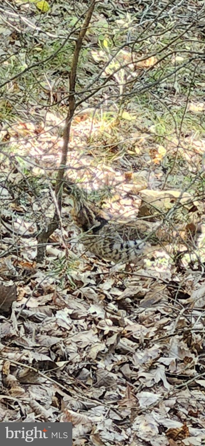 POTOMAC VALLEY OVERLOOK - Land