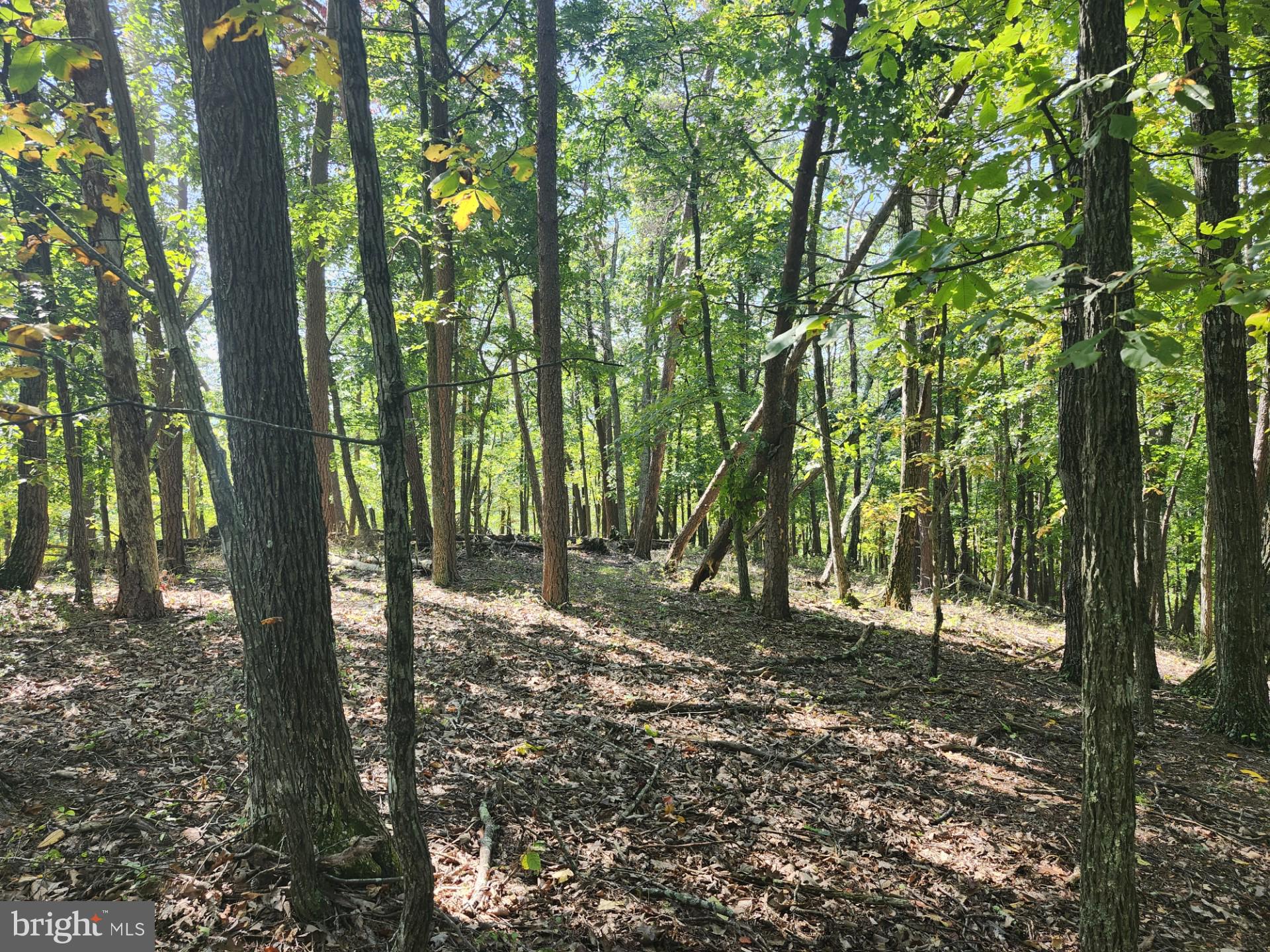 POTOMAC VALLEY OVERLOOK - Land