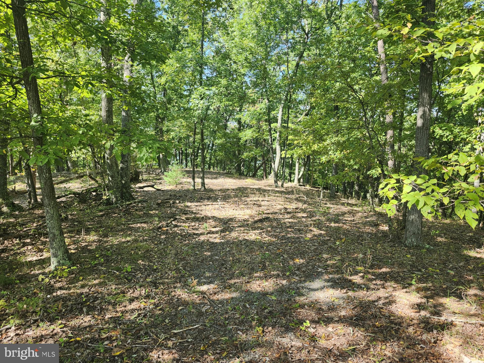 POTOMAC VALLEY OVERLOOK - Land